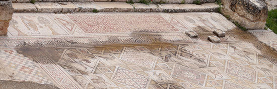 Vielfalt an Mosaiken