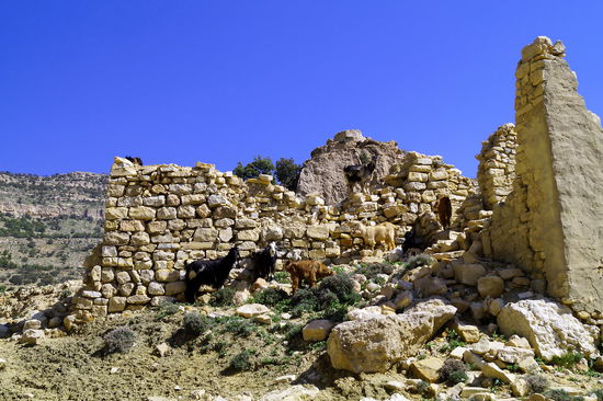Etwa ein Viertel der Häuser ist eingefallen... und wie es sich für ein Bergdorf gehört sieht man viele Ziegen.