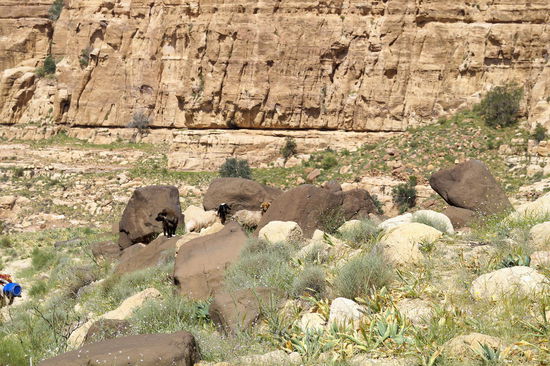 Bei Regen bilden sich Flüsse, die das Gestein weit tragen