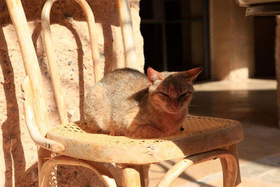 in der Öko-Lodge                                                                        (c) C.Hartig