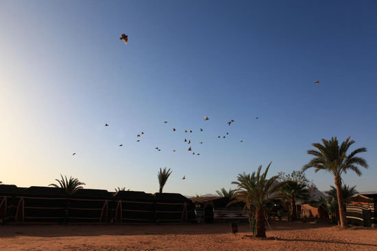 frühabendliche Stimmung im Camp                                      (c) C. Hartig