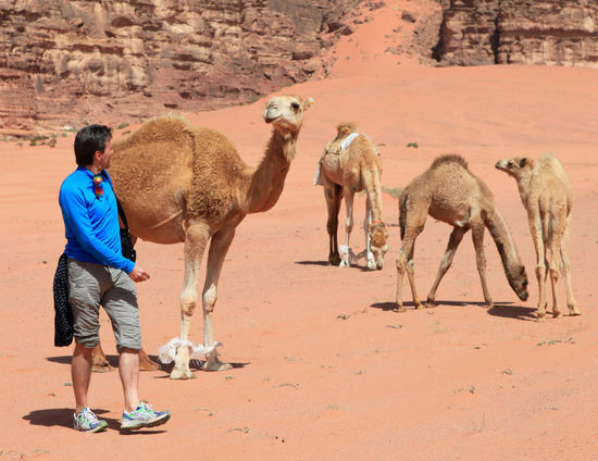 (c) C. Hartig
...anscheinend hat ihm das Streicheln gefallen 