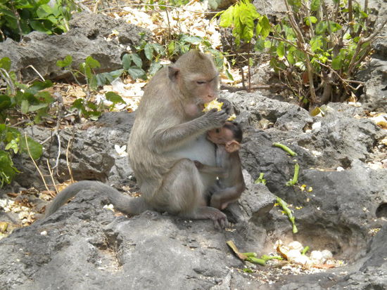 ...vor diesen Zeitgenossen.