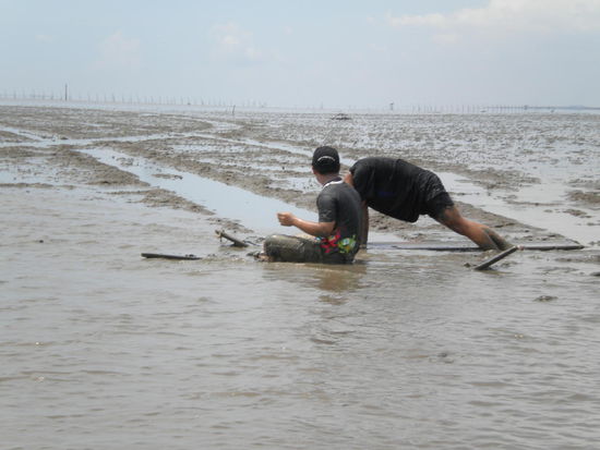 So sehen Thaitouristen aus die aus Spass im Schlick buddeln,