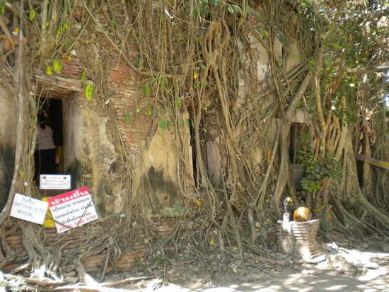 Hier gibt es auch eine ueberwucherte Gebetshalle ....