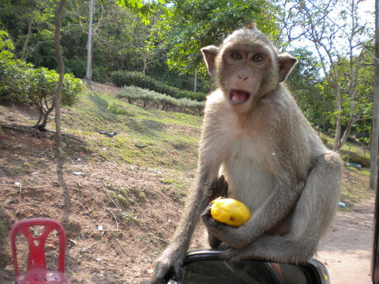 Er hatte den besten Platz.