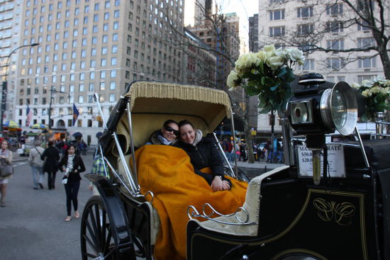 Mit der Kutsche durch NY 
