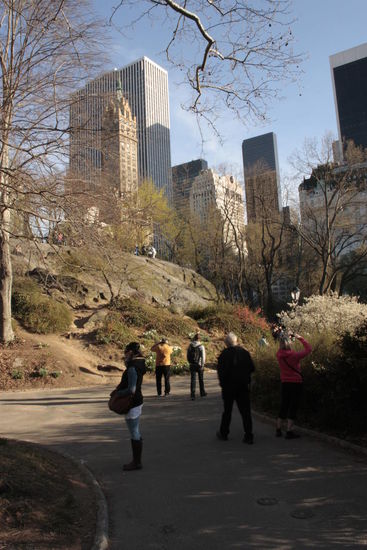 Central Park