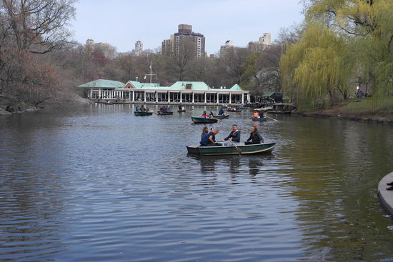 Paddelboote im Central Park