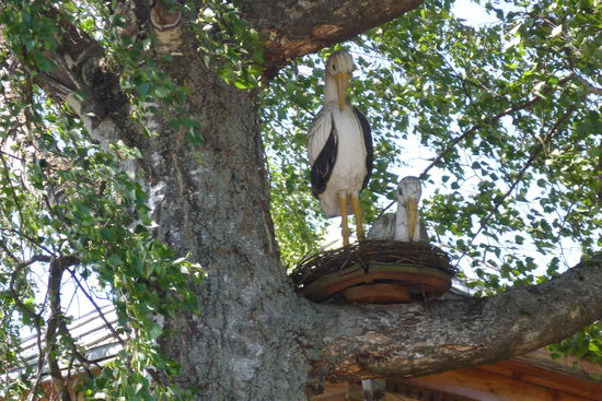 Störche sind in Rußland Glücksbringer