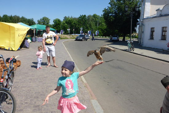 ... sind evident. Der Falke ist das Wahrzeichen von Suzdal