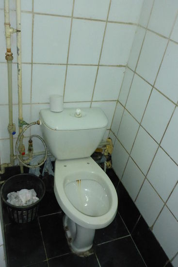 Das Toilettenpapier muß in Russland im Papierkorb entsorgt werden, ansonsten droht Verstopfung; daran habe ich mich anfangs unbedacht nicht immer gehalten, inzwischen jedoch begriffen