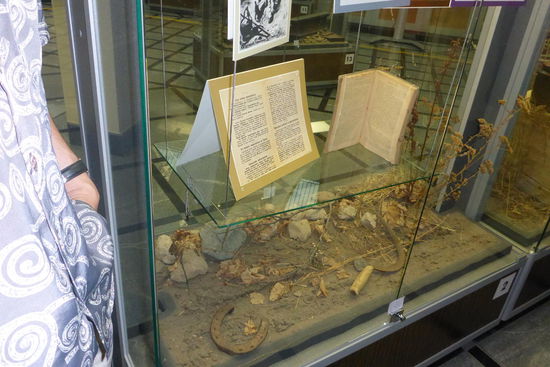 ... unten ein Vorläufer-Modell