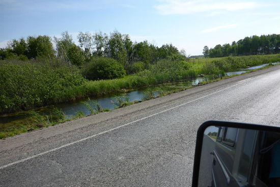 Kinderstube für Plagegeister
