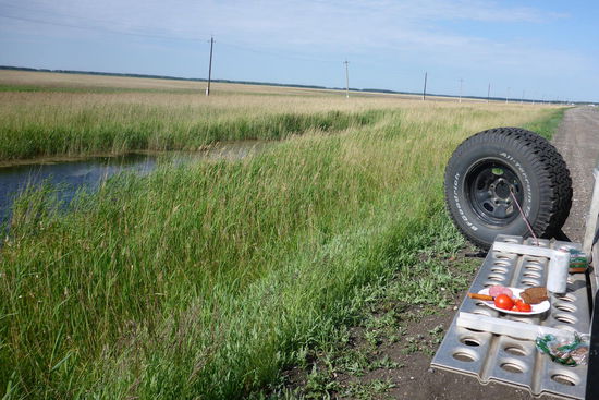 Outdoor-Frühstück unterwegs: Tomaten, russischer Schinken, Schwarzbrot (ja das gibt es hier, es schmeckt gut) und alkoholfreies Bier (wegen des starken Windes macht der Benzinkocher Probleme)