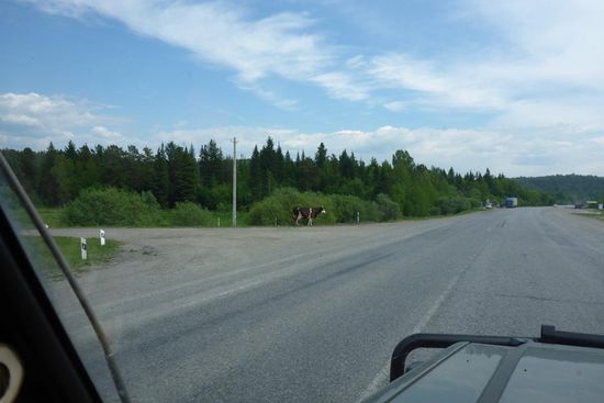 Mit Passanten ist immer zu rechnen