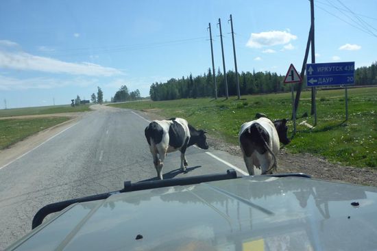 Passanten auf der M 53