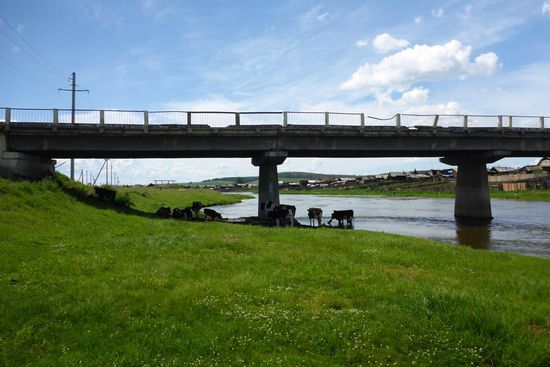 Man glaubt es kaum, Sibirien kann auch heiß sein, heute sind es über 30 Grad im Schatten, den suchen auch andere