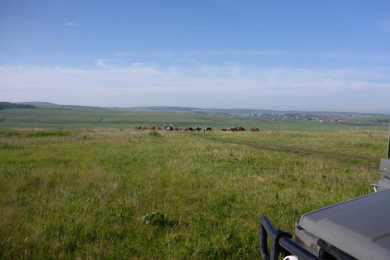 Unterwegs nach Irkutsk: Naturcamp mit Pferden