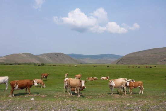 Interessierte Beobachter in offener Landschaft