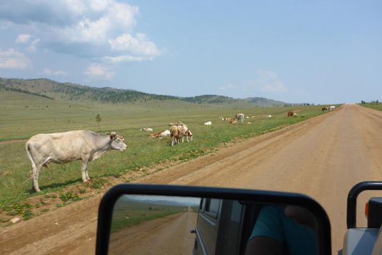 Auf den letzten Kilometern bis zur Fähre