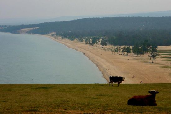 ... sie fühlen sich offensichtlich wohl ...