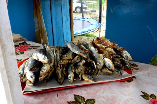 Kalt geräucherter Olmus, ein endemischer Fisch, so für unsere Geschmacksnerven fast ungenießbar