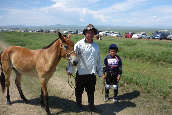 Reiterfest in Darkhan, drittgrößte Stadt in der Mongolei (75.000 Einwohner):
Die kleinen mongolischen Pferde werden in den Rennen von Kindern im Alter zwischen 5 und 12 Jahren geritten, vermutlich aus Gewichtsgründen