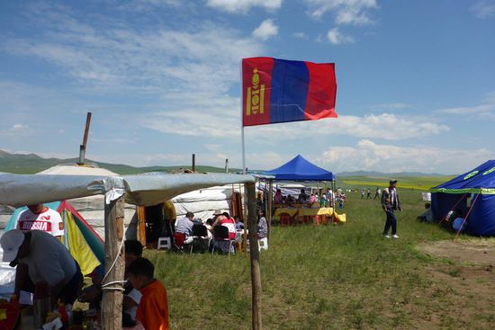 Die mongolische Flagge