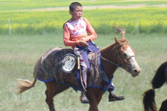 ... wer einmal Jockey werden will