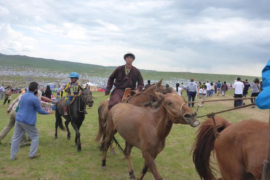 Das Berühren der Rennpferde soll ein Jahr lang Glück bringen