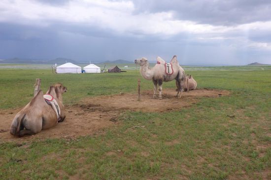 Die Wüste kommt näher