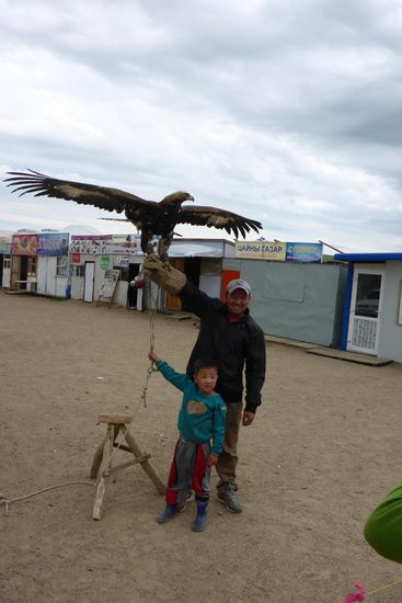 ... diese Touristenattraktion ist Tierquälerei