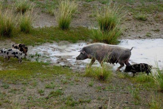 Alleinerziehende Mutter am Straßenrand