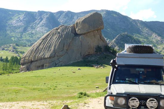 Gigantische Schildkröte