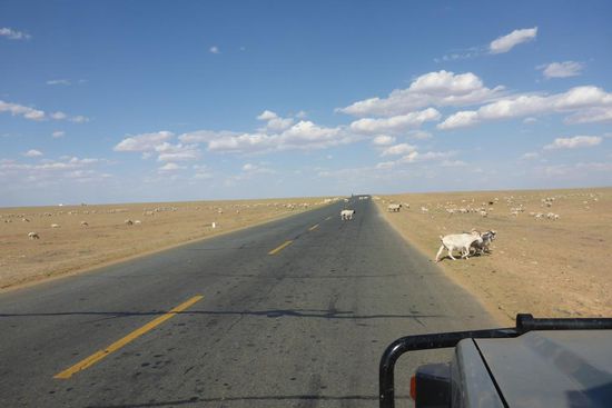 Durch die Innere Mongolei.
Die "Äußere Mongolei", wie von China gerne bezeichnet, gehörte bis 1918 zu
China.
Auf 1,18 Millionen Quadratkilometern leben 42 Millionen Einwohner, davon sind 6 Millionen Mongolen.
In der Inneren Mongolei werden 20 % der chinesischen Steinkohle gefördert