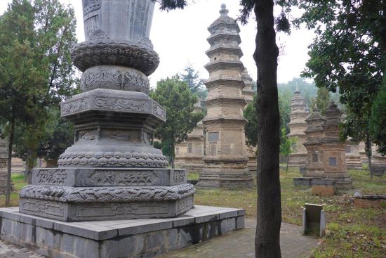 Der Pagodenwald in etwa 500 m Entfernung vom Kloster ...
