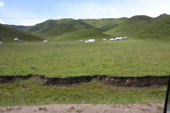 Leben über der Baumgrenze