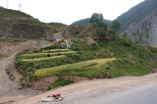 Jedes Fleckchen wird bebaut ...