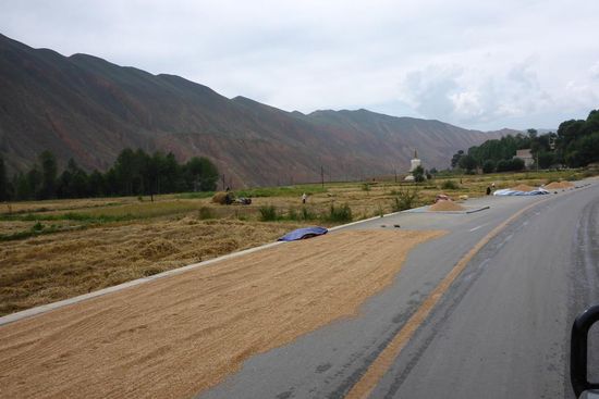 ... getrocknet wird die Ernte auf der Straße