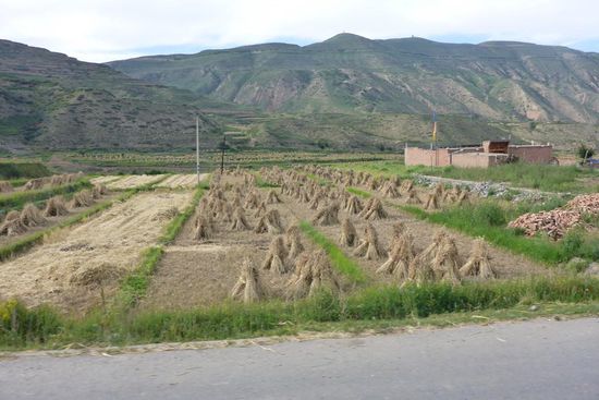 ... das auch, ist schon ein paar Jahre her