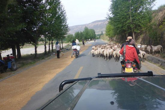 Landleben im westlichen Hochland ...