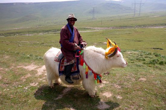 Stolzer Besitzer eines weißen Yak.
Ich schenke ihm eine Dose Bier, er bedankt sich freundlich