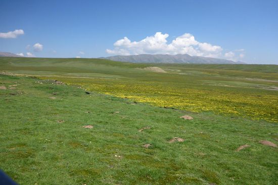 ... immer noch über der Baumgrenze unterwegs