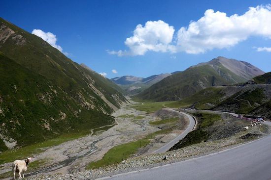 ... über der Baumgrenze