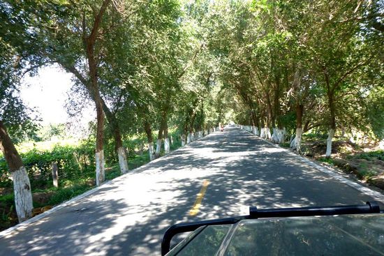 Ohne künstliche Bewässerung wären hier nur Steine und Sand