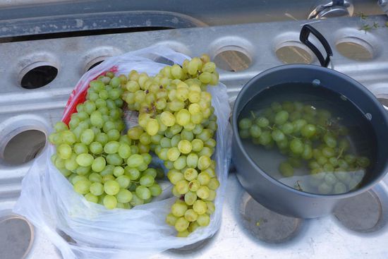 Die Weintrauben sind sehr süß und kernlos