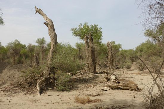 ... lebende und tote