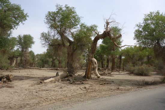 Ich kann mich nicht ...
