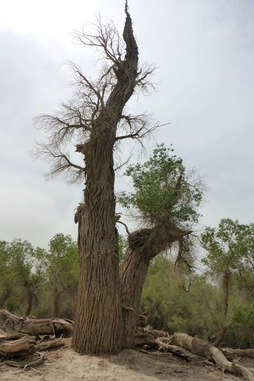 ... wird gewonnen und verloren